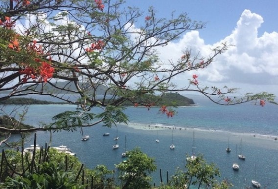 British Virgin Islands Sea, Trees & boats