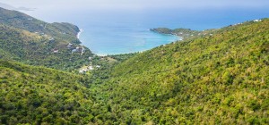 British Virgin Islands Commercial Property