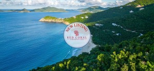 Real Estate in British Virgin Islands