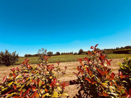 Property for Sale in Jersey