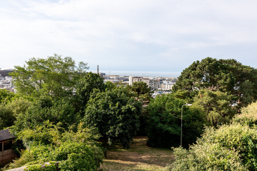 Photo 20