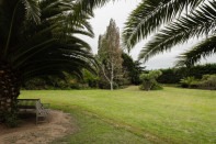 Photo 35