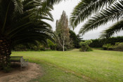 Photo 35