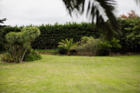 Photo 36