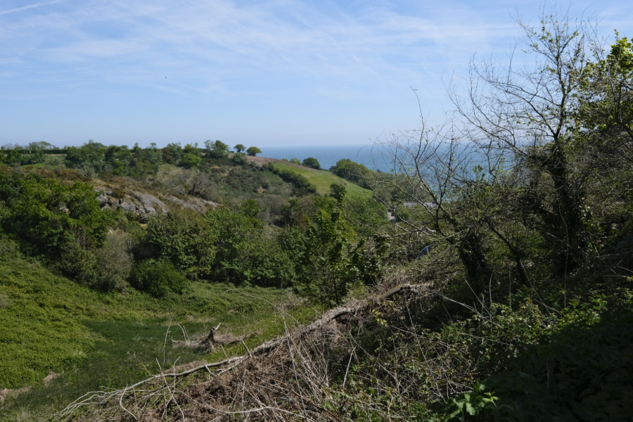Photo 21