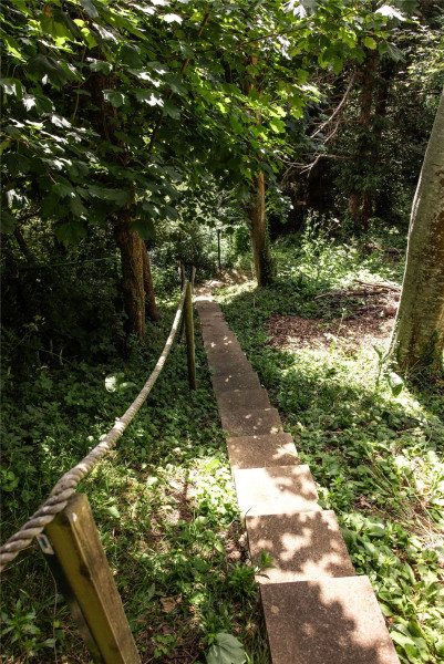 Photo 27