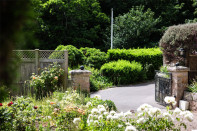 Photo 20