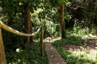 Photo 28