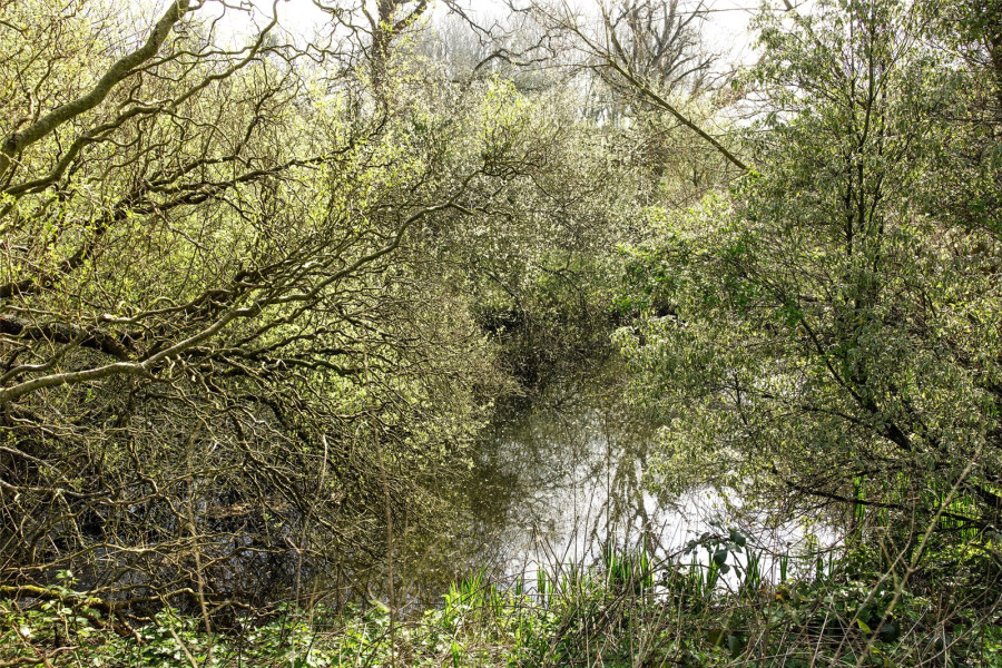 Photo 30